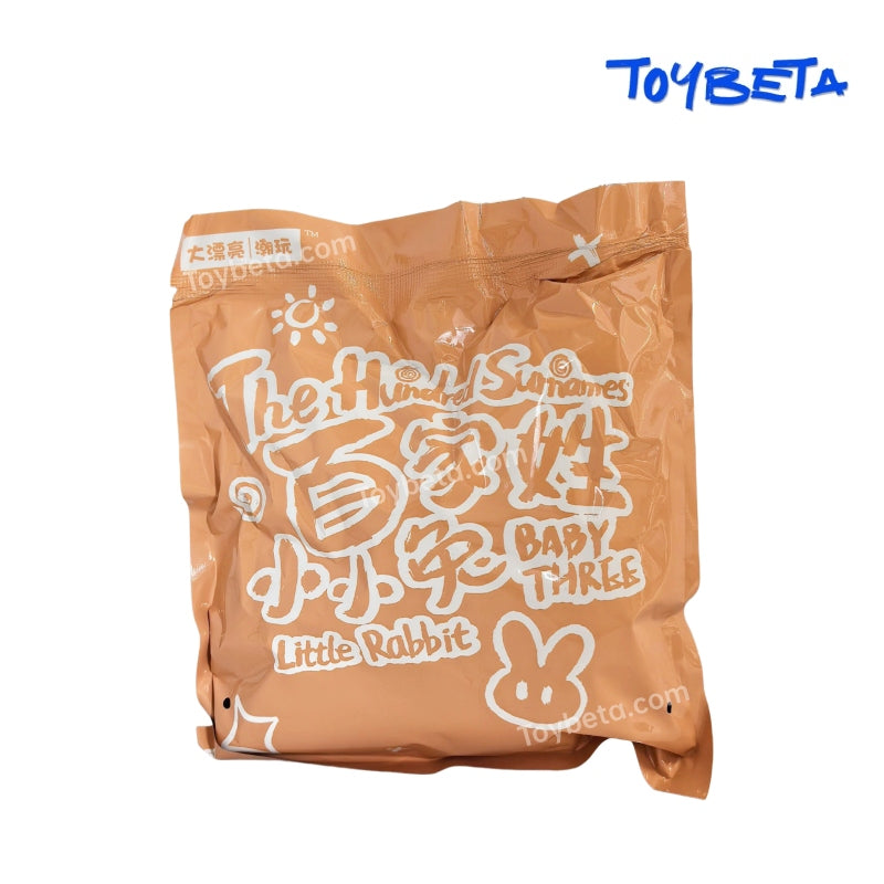 Baby Three-The Hundred Surnames Little Rabbit Series Plush Keychain Blind Box